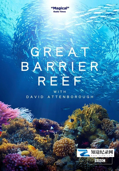 [BBC]老爵爷的大堡礁之旅 Great Barrier Reef with David Attenborough-知途纪录片网盘资源下载