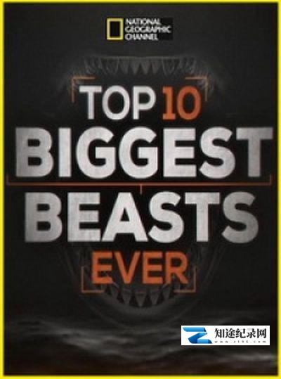 [国家地理]十大巨兽排行榜 Top 10 Biggest Beasts Ever-知途纪录片网盘资源下载