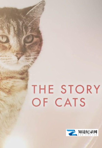 [ITV]猫科动物的故事 The Story of Cats / 猫的史诗之旅-知途纪录片网盘资源下载