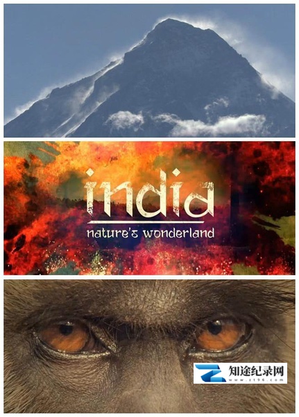 印度:大自然的仙境 / India: Nature’s Wonderland