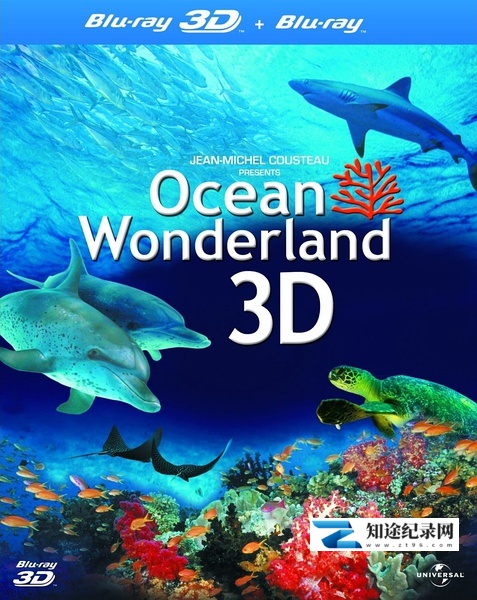 [Discovery]神奇的海洋 Amazing Ocean 3D-知途纪录片网盘资源下载