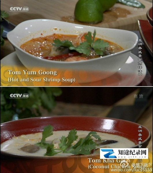 [CCTV]亚洲各式美食烹饪法 Recipe of Asian Gourmet-知途纪录片网盘资源下载