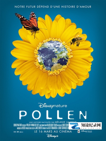 [Disney]隐蔽之美：孕育地球的爱的故事 Naked Beauty: A Love Story that Feeds the Earth-知途纪录片网盘资源下载