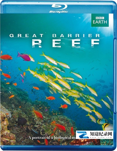 [国家地理]大堡礁 Great Barrier Reef-知途纪录片网盘资源下载