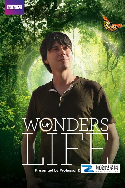 生命的奇迹 / Wonders of Life