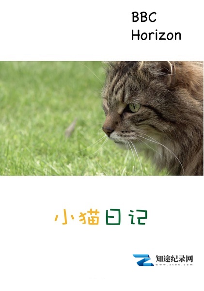 [BBC]小猫日记 Little Cat Diaries-知途纪录片网盘资源下载