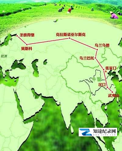 茶叶之路 / Road of Tea