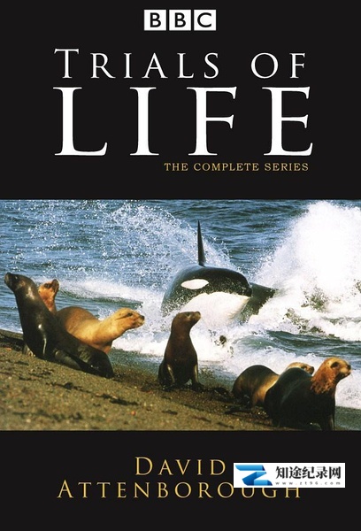 [BBC]生命之源 The Trials of Life-知途纪录片网盘资源下载