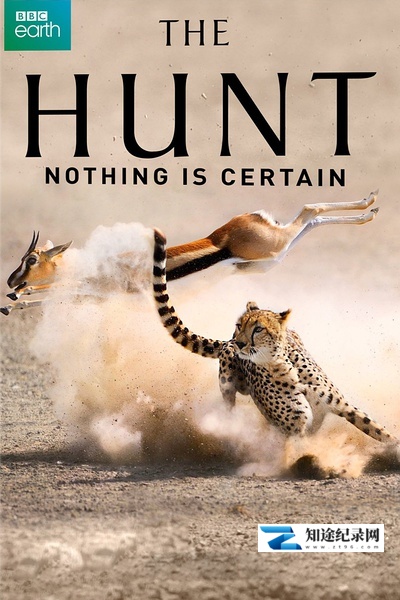 [BBC]猎捕 The Hunt-知途纪录片网盘资源下载
