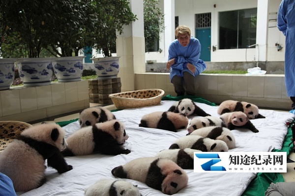 [PBS]野生救助 Operation Wild-知途纪录片网盘资源下载