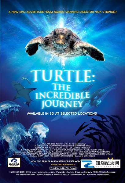 [其他]海龟奇妙之旅 Turtle: The Incredible Journey-知途纪录片网盘资源下载