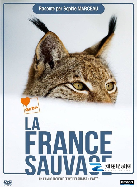 [其他]野性法兰西 La France sauvage-知途纪录片网盘资源下载
