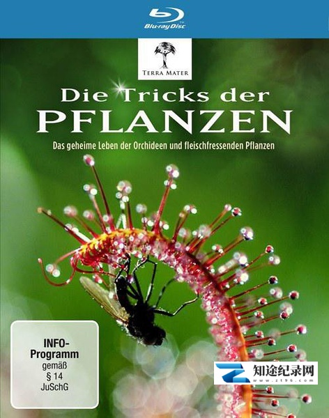 [其他]植物的秘密武器 植物也坏坏/Die Tricks der Pflanzen-知途纪录片网盘资源下载