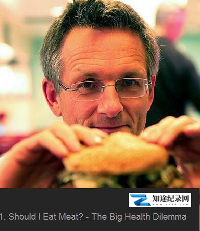 地平线系列 / Horizon