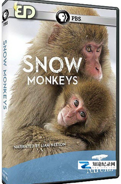 [PBS]雪猿 Nature snow monkeys-知途纪录片网盘资源下载