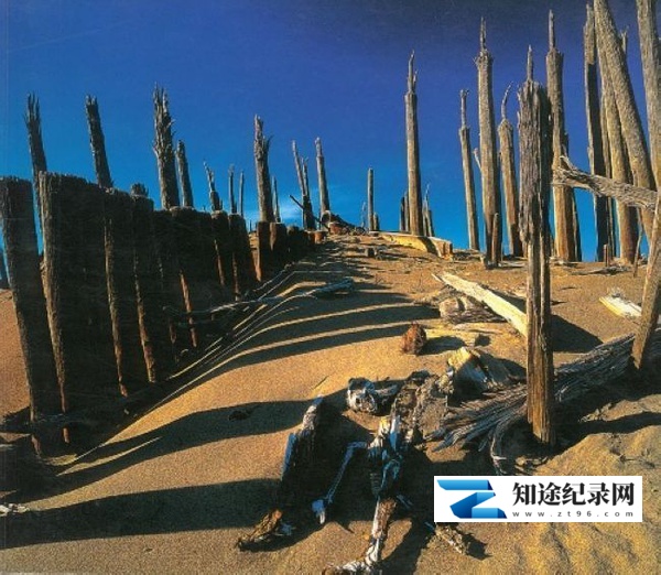 [其他]滔滔小河 taotaoxiaohe-知途纪录片网盘资源下载