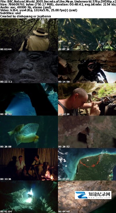 [BBC]玛雅地下世界之谜 Natural World: Secrets of the Maya Underworld-知途纪录片网盘资源下载