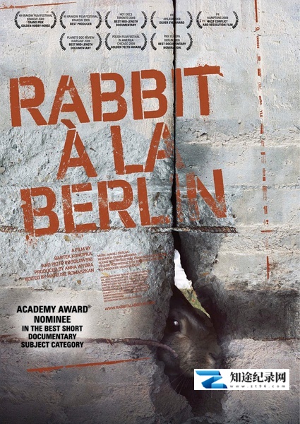 [NHK]柏林墙的野兔 Rabbit-知途纪录片网盘资源下载