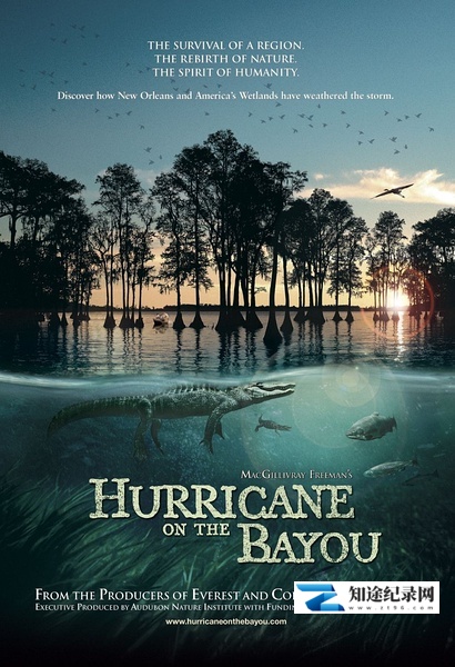[PBS]海湾的飓风 Hurricane on the Bayou-知途纪录片网盘资源下载