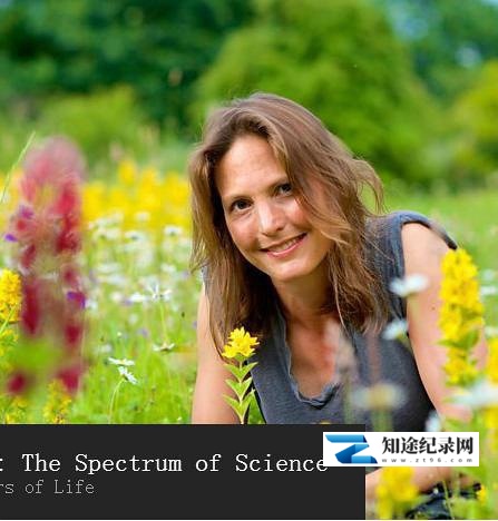 [BBC]色彩的奥秘 第一季 Colour-知途纪录片网盘资源下载