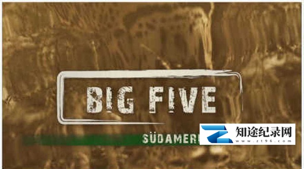 [其他]南美五猛兽 Big Five Südamerika-知途纪录片网盘资源下载