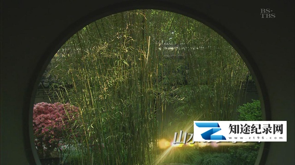 [CCTV]泼墨黄山 China Huangshan-知途纪录片网盘资源下载