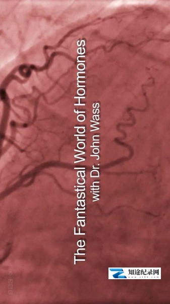[BBC]荷尔蒙的神奇世界 The Fantastical World of Hormones with Professor John Wass-知途纪录片网盘资源下载