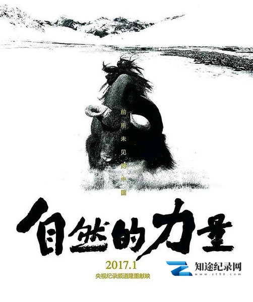 [BBC]自然的力量 自然的力量-知途纪录片网盘资源下载