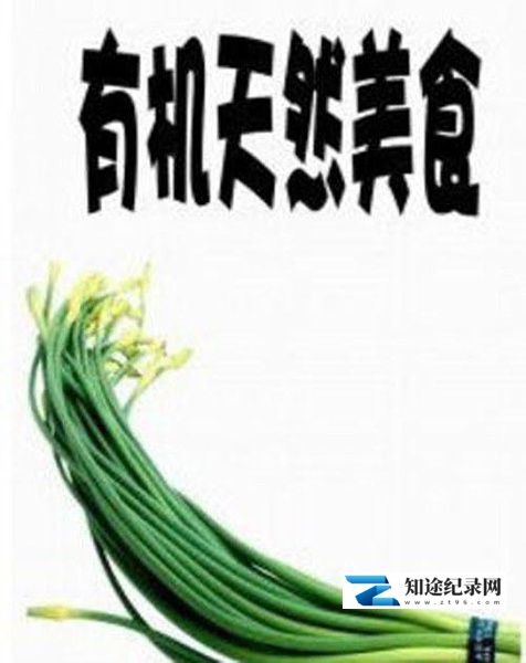 有机天然美食 / Under the Sun