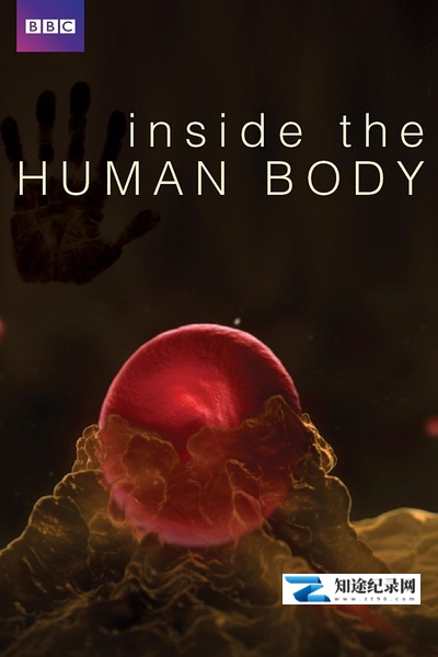 人体奥秘 / Inside the Human Body
