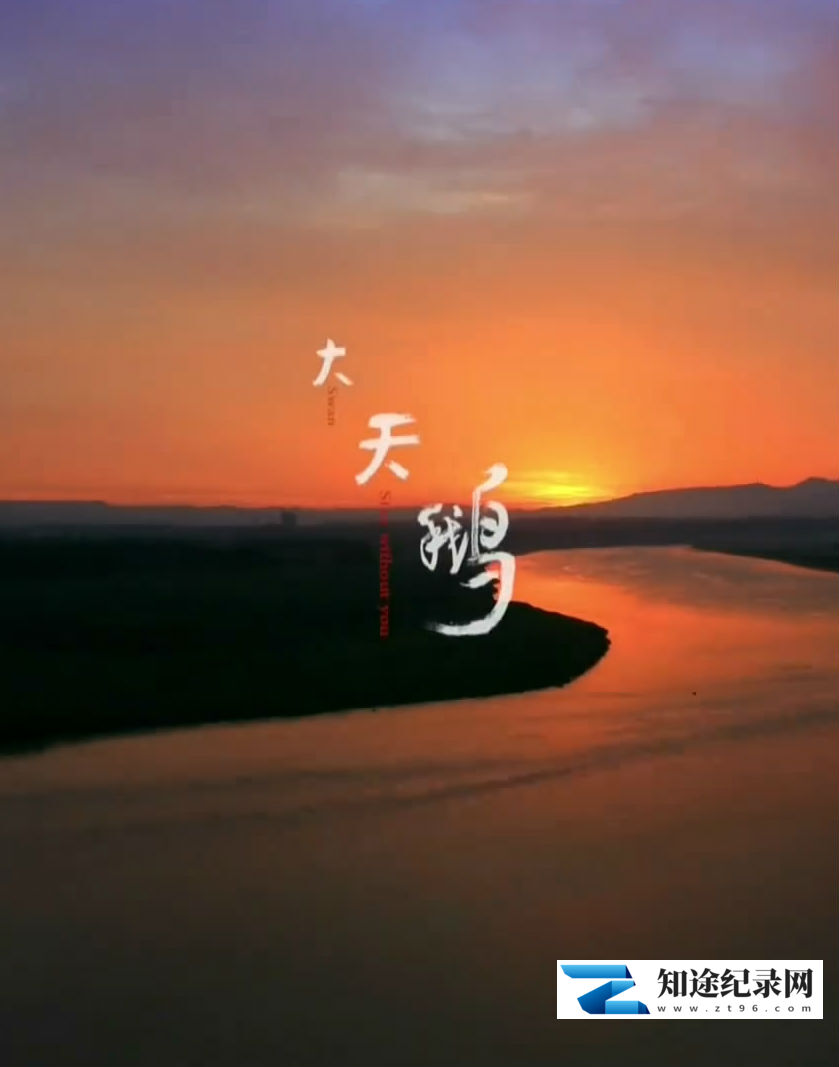 [CCTV]大天鹅 大天鹅-知途纪录片网盘资源下载