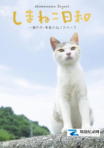 俺是猫,欢迎来俺家玩 / しまねこ日和~瀬戸内・青島のねこたち~