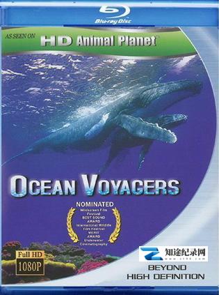 动物星球系列:鲸奇之旅 / Ocean Voyagers