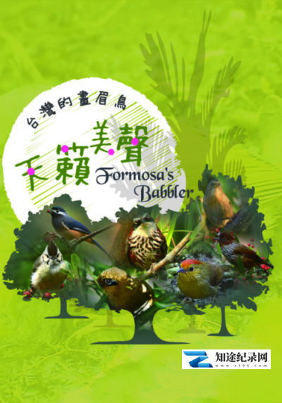 [其他]天籁美声 台湾画眉鸟 台湾画眉鸟-知途纪录片网盘资源下载