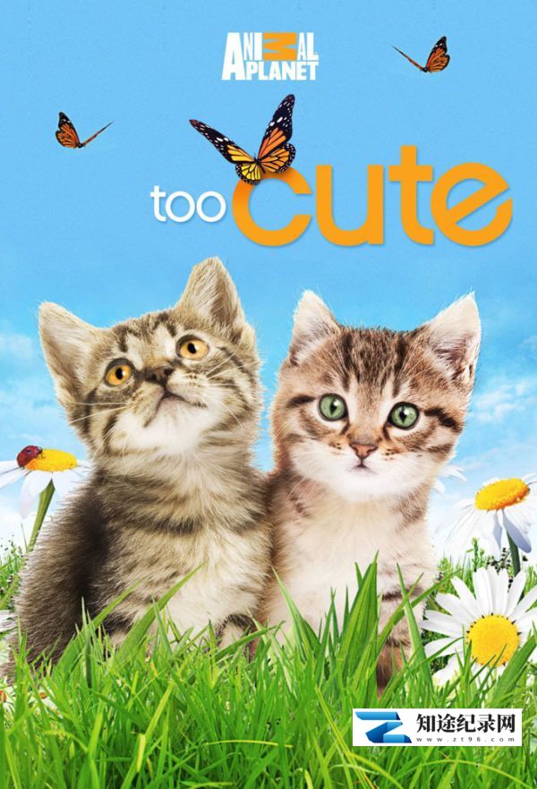[其他]萌宠成长记 全6季 Too Cute-知途纪录片网盘资源下载