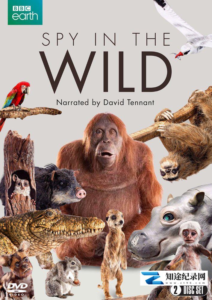 [BBC]荒野间谍 第一季 Spy in the Wild Season 1-知途纪录片网盘资源下载