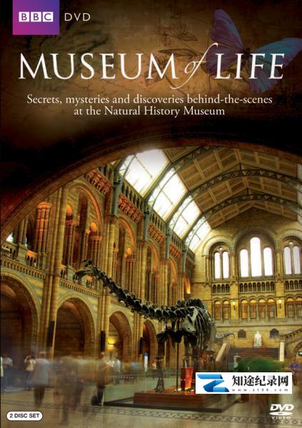 生命博物馆 / Museum Of Life