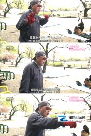 上野公园 盛开的樱花 / 上野公園・満開の桜の下には