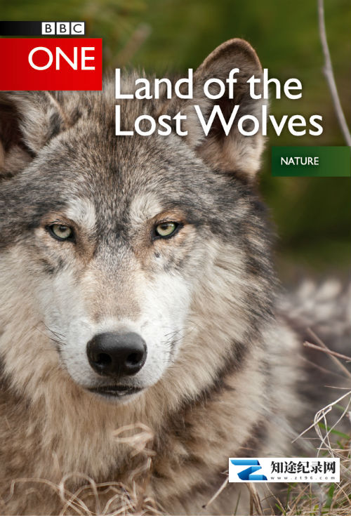 [BBC]狼群 失落的领地 Land of the Lost Wolves-知途纪录片网盘资源下载