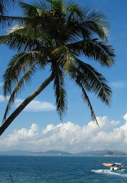 [CCTV]印象海南 Impression HaiNan-知途纪录片网盘资源下载