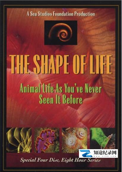 生命的形状 / Shape of Life