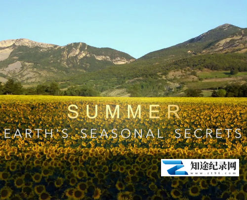 夏季——四季的秘密 / Summer Earth's seasional Secrets