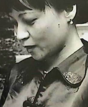 [NHK]为中国女性直言 Speaking Out for Chinese Women Hong Ying-知途纪录片网盘资源下载