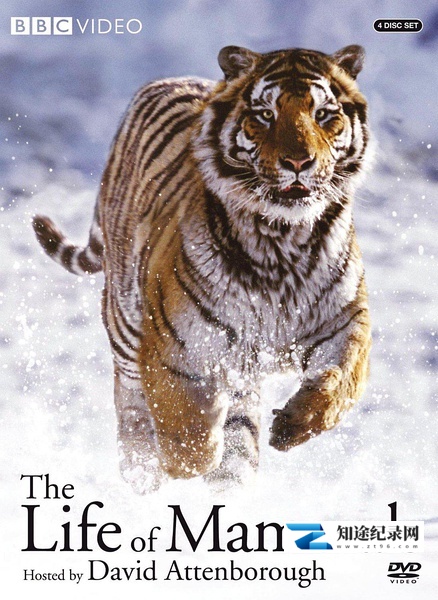 哺乳类全传 / The Life of Mammals