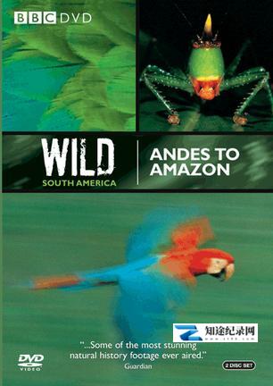 [BBC]野性南美洲 Wild South America-知途纪录片网盘资源下载