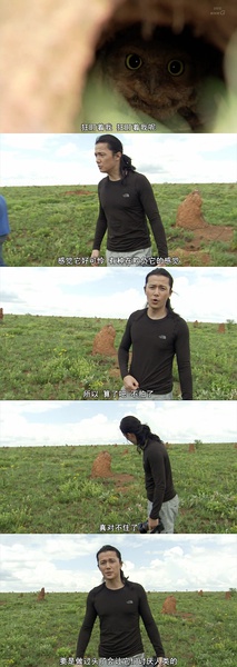 [NHK]HOT SPOTS  最后的乐园 第一季 ットスポット 最後の楽園-知途纪录片网盘资源下载