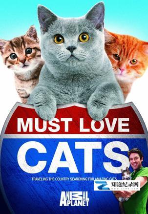[Discovery]动物星球：为猫痴狂 Animal Planet: Must Love Cats-知途纪录片网盘资源下载