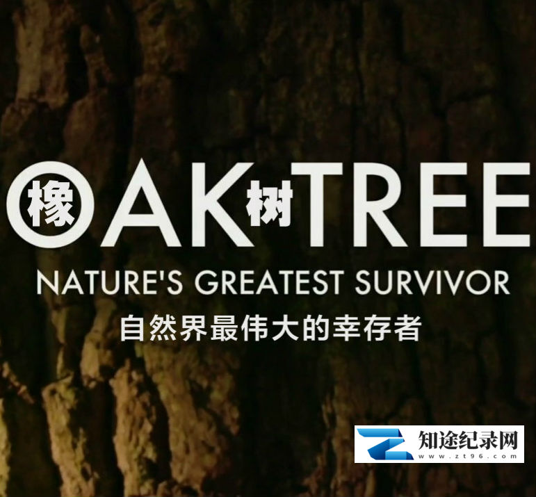 [BBC]橡树：自然界最伟大的幸存者  Oak Tree: Nature's Greatest Survivor-知途纪录片网盘资源下载