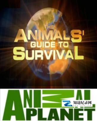 [Discovery]动物生存指南 he Animals' Guide to Survival-知途纪录片网盘资源下载