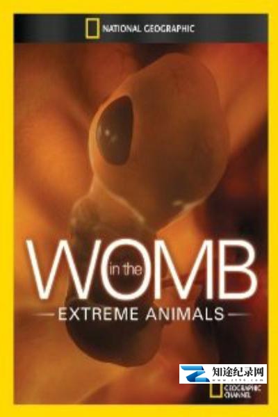 [国家地理]子宫日记：极端动物 In the Womb: Extreme Animals-知途纪录片网盘资源下载